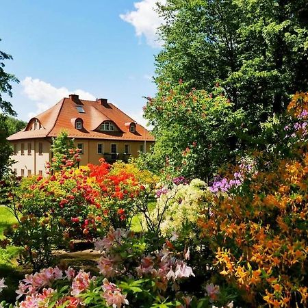 Rezydencja Grawert Boutique & Spa Lądek-Zdrój Eksteriør billede