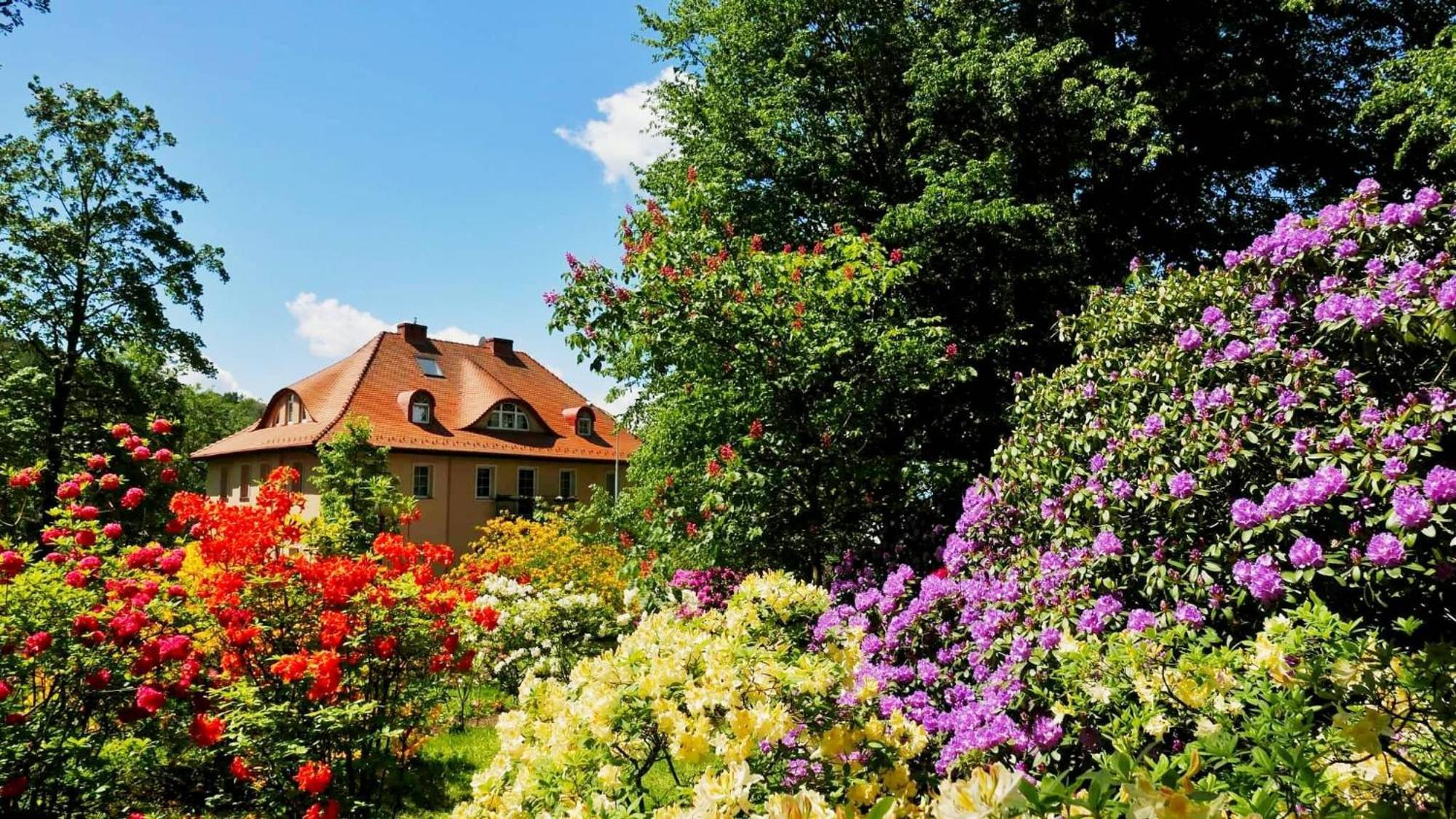 Rezydencja Grawert Boutique & Spa Lądek-Zdrój Eksteriør billede